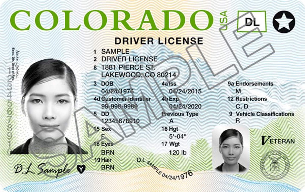check drivers license status panama cityfl