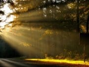 Comienza con lo que tienes