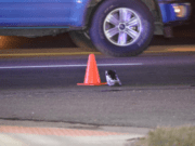 Tiempo El recurso más valioso y más desperdiciado