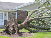 Tormenta de viento deja muertos y miles de hogares sin luz