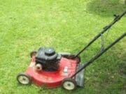 Mujer es atropellada mientras cortaba el césped