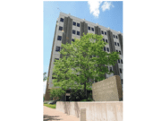 Cuerpo de Alguaciles arrestó a fugitiva en avenida Grandville, ICE no tuvo nada que ver en el asunto