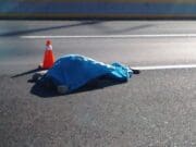 Hombre muere al ser atropellado en Kentwood