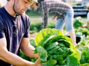 Escuelas de Michigan con Alimentos Cultivados Localmente