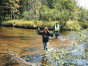 Exnovio de desaparecida Ana Carrillo arrestado por mentirle a policía