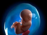 Diario de una criatura no nacida…