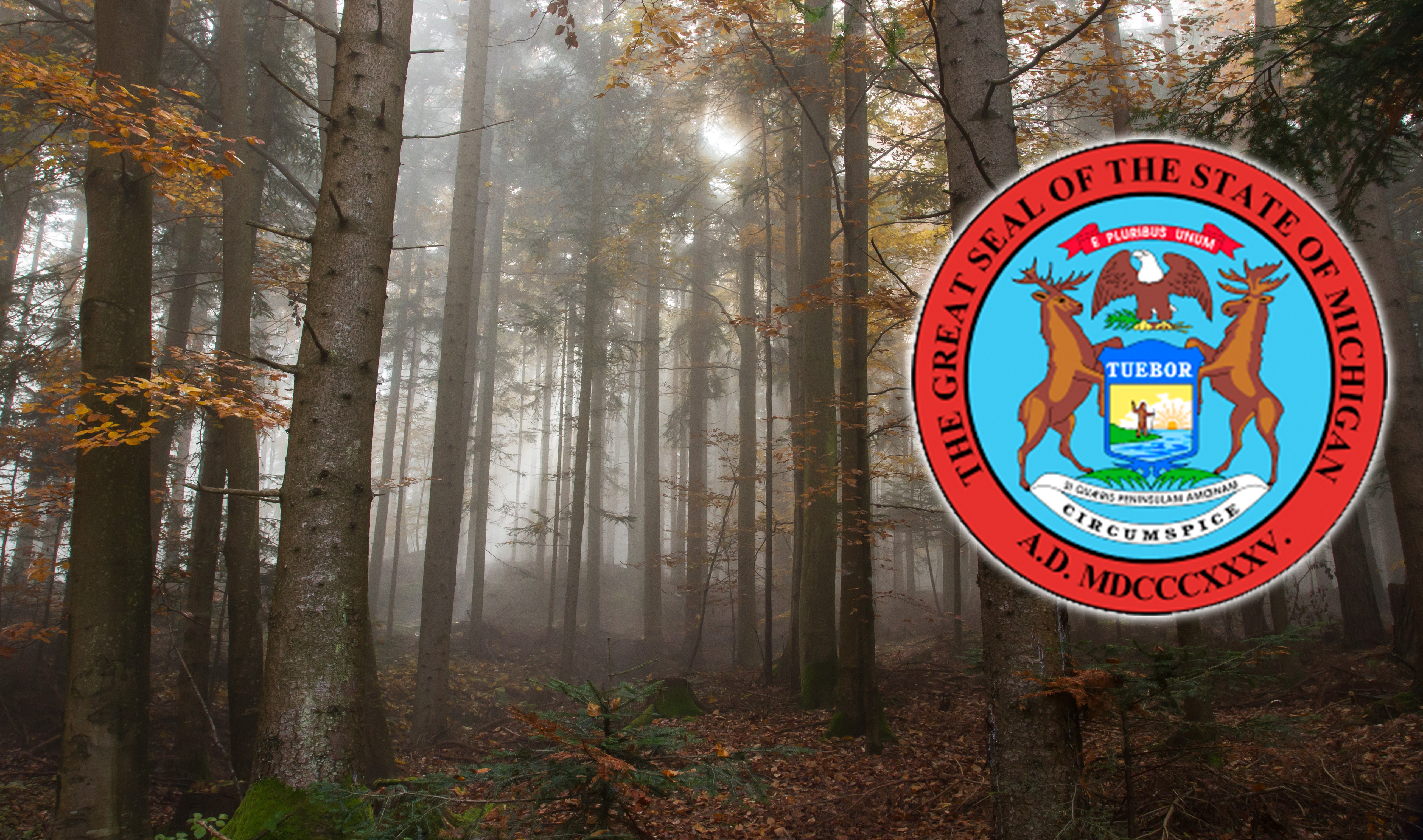 Restos de niñas pueden ser desenterrados en los bosques de Michigan