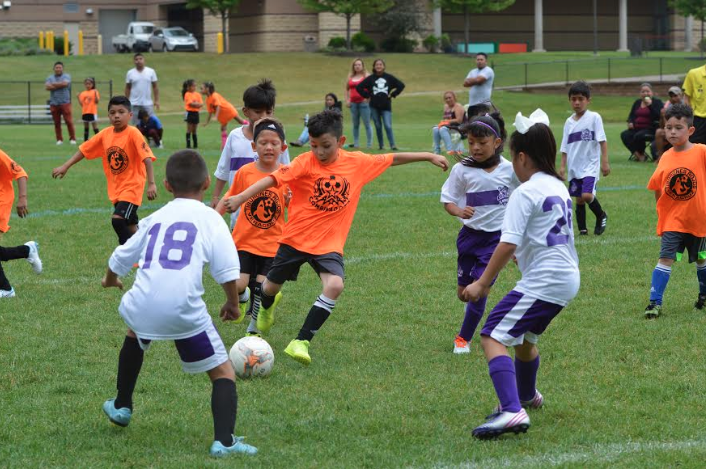 En vibrante encuentro Lobos vencen a Omega/ Lobitos saca empate contra el Veracruz