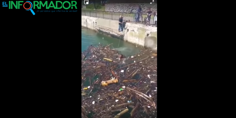 FUERTE VIDEO: Dos hombres se ahogan en río Niagara en Bufalo ante el sufrimiento de una multitud