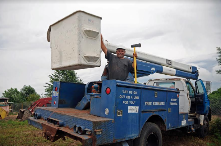 Almanza’s Tree Service & Landscaping: “Un negocio de servicio completo”