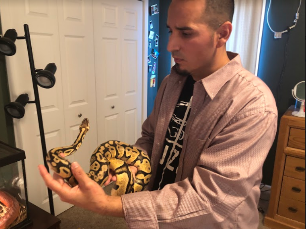 Viviendo entre reptiles