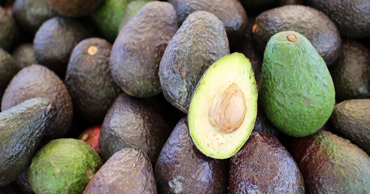 Alerta en USA por aguacates contaminados
