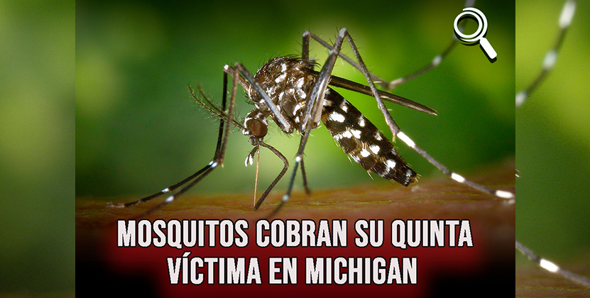 Mosquitos cobran su quinta víctima en Michigan