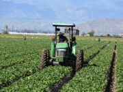 Despiden a campesinos que denunciaron contagio de COVID-19 en California