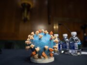 Vacuna contra el coronavirus genera respuesta inmune en pruebas iniciales