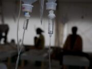 Detectan el primer caso de peste bubónica en California