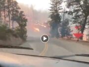 Arde California con récord de calor y nuevo incendio provocado por fiesta de revelación
