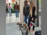 Captan a mujer paseando a tigre en Plaza Comercial