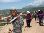 Municipio mexicano regala palas a mujeres para buscar a sus desaparecidos