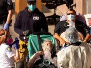 Alertan que los hospitales de USA se llenarán otra vez por Ómicron