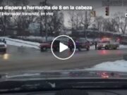 Hermano mayor le dispara a hermanita de 8 en la cabeza en Michigan