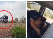 Viral: Captan a policías teniendo sexo en patrulla de Ecatepec; son cesados
