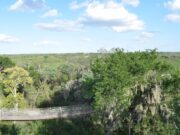 Encuentran sano y salvo niño latino perdido cuatro días en bosque de Texas