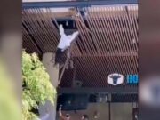 VIDEO: Hombre se rompe las piernas al saltar del tercer piso de una plaza comercial en Nuevo León