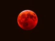 Eclipse lunar total, este fin de semana se verá una “Luna de Sangre”