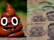 ¿Dinero fácil? Donar tu popó te puede hacer ganar más de 3 millones de pesos al año