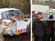 Hombre muere tras ser baleado por su propio perro