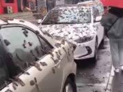 Lluvia de gusanos en China: Un misterioso fenómeno ha sido compartido en redes sociales, esto sabemos (VIDEO)