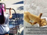 Niña Alimenta a 50 Perritos de la Calle y se Vuelve Viral