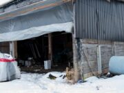 Rescatan a 64 mexicanos en Canadá víctimas de explotación laboral; hay cinco detenidos