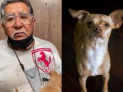 VIDEO: “Me daba energías para vivir” busca a su perrita «Nani” por todo Chihuahua