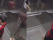 Niño salva a su perro de morir en un elevador (VIDEO)