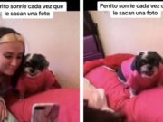 Perrito sonríe cada vez que le toman una foto y se hace viral (VIDEO)