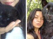 VIDEO: ¡Le salió pantera! Mujer rescata a felino pensando que era un gato