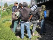 De polleros a criminales
