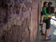 Migrantes abandonan Tijuana ante la desesperación de no cruzar de México a EE.UU.