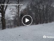 Así amanecimos en Grand Rapids, Michigan.