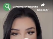 Reportan fallecimiento de mascotas en Michigan a causa del frío, no los dejé afuera