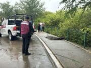 VIDEO: Captan a cocodrilo cruzando la calle en Tampico, tras las intensas lluvias de la tormenta tropical Alberto