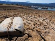 Calor y sequía: se agrava el cambio climático