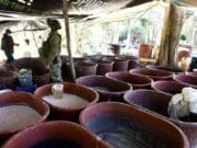 México desmantela segundo ‘n@rcolaboratorio’ más grande en lo que va del actual Gobierno
