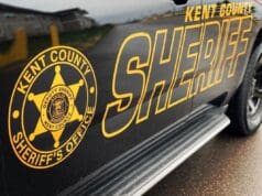 Conductor muere tras impactarse contra árbol y quedar envuelto en llamas