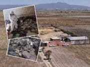 Encuentran campo de exterminio con crematorios clandestinos en Jalisco
