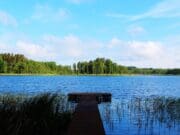 Muere joven consejero de campamento tras presunto ahogamiento en Muskegon