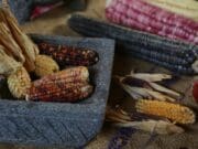 Unión de agricultores mexicanos advierten «catástrofe alimentaria» por aranceles de EE.UU.