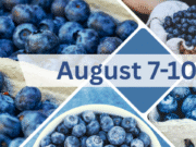 Regresa el Festival Nacional del Arándano a South Haven